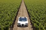 Bugatti Veyron 16.4 Grand Sport Roadster 2008 года